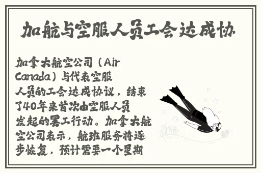 x9x9x9x9任意槽2024免费